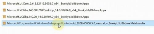 微软 WSA 安卓子系统公开版 2208.40000.5.0